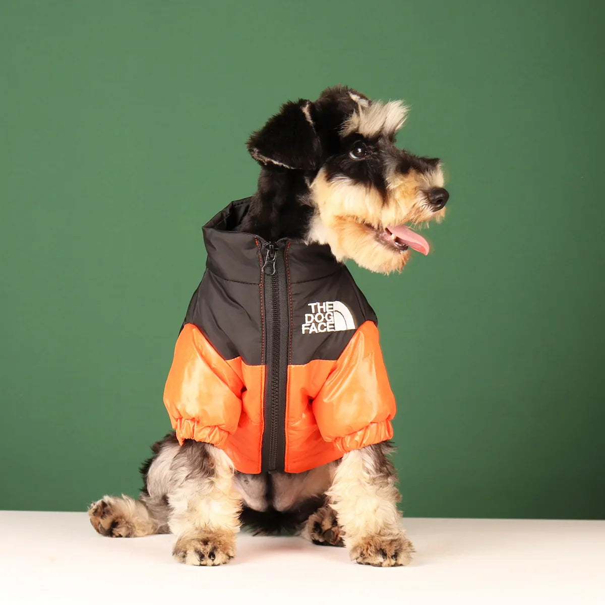 Dog Collection