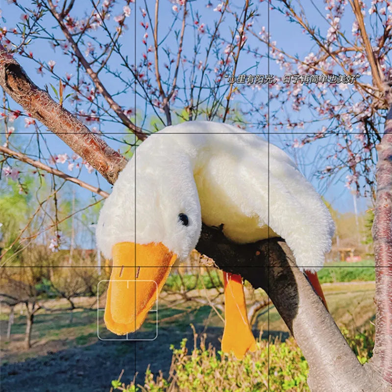 S42c0173a8c464a0783042aa7fddcabc2K